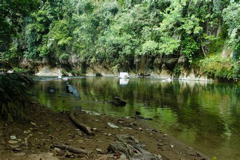 My ADVENTURE in the RIO CLARO's NATURAL RESERVE.